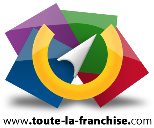 Logo toute-la-franchise.com
