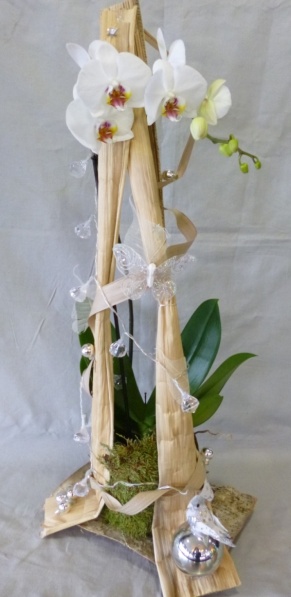carrement-fleurs-orchidee-noel