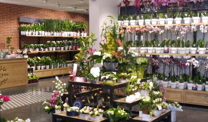 nouvelle ouverture de magasin pour monceau fleurs, à nantes