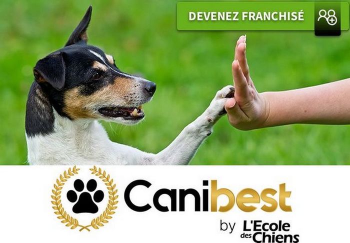 Franchise Canibest devenir éducateur canin