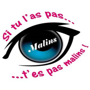 Logo Carte Malins