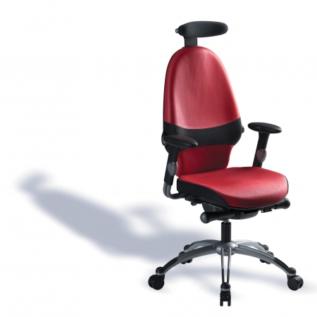 Si�ges ergonomiques(RH Moveon)