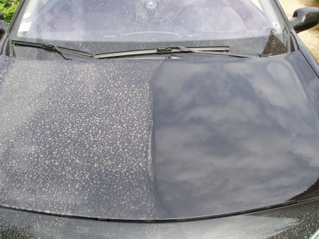 Voiture sale et propre