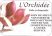 L'ORCHIDEE :