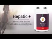 Hepatic + draineur hépatique pour cheval