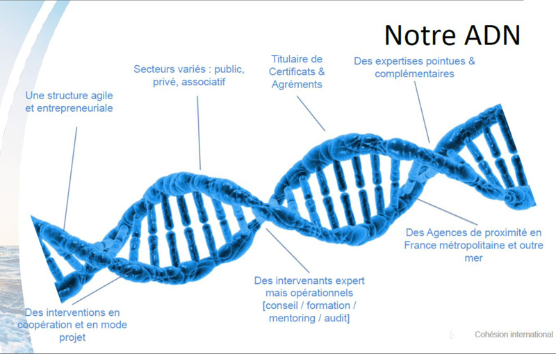 ADN du réseau Cohésion International