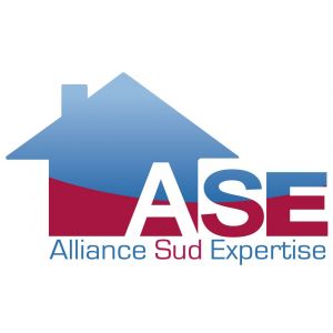 ASE logo