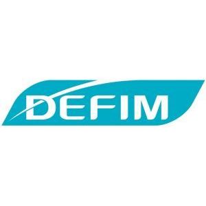 Logo DEFIM
