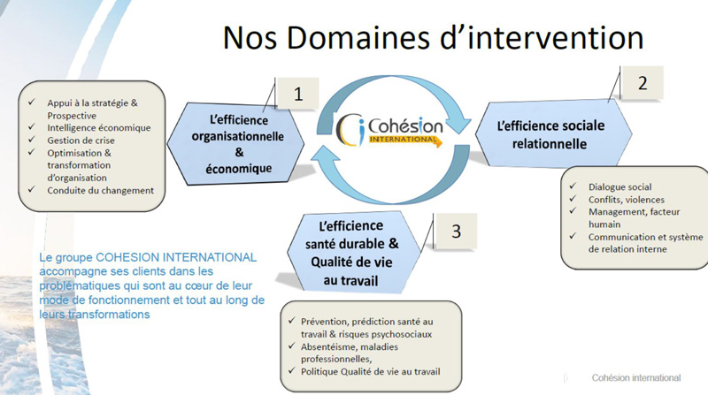domaines d'intervention du réseau Cohésion International