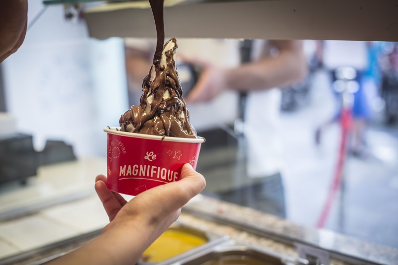 Franchise YOGURT FACTORY