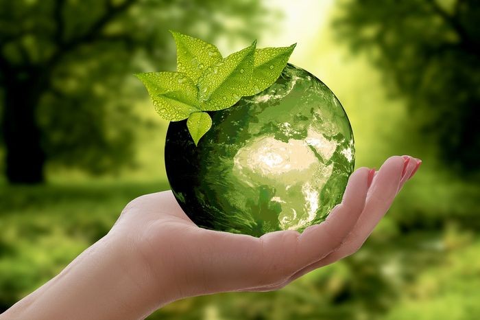 Economie verte et responsable