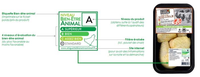 L Etiquetage Du Bien Etre Animal Chez Casino Comment Ca Marche