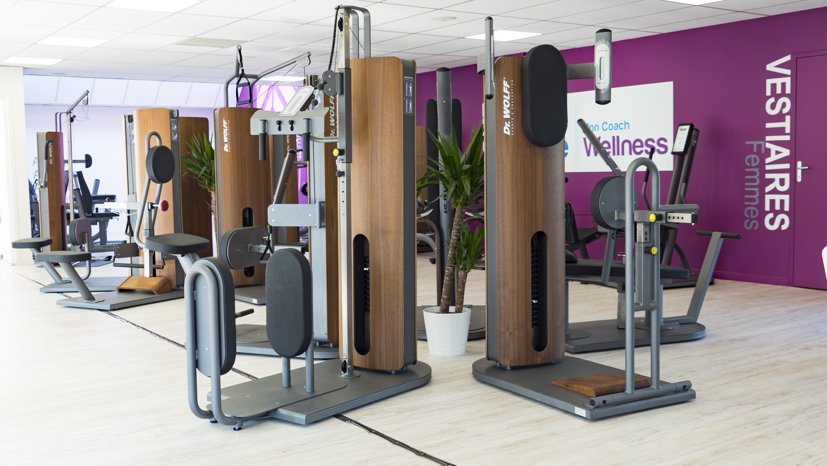 Franchise L'orange bleue, mon coach wellness