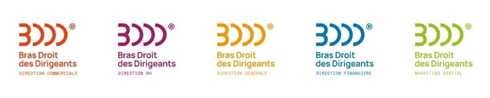 Franchise Bras Droit Des Dirigeants Dans Franchise Conseils En Entreprise