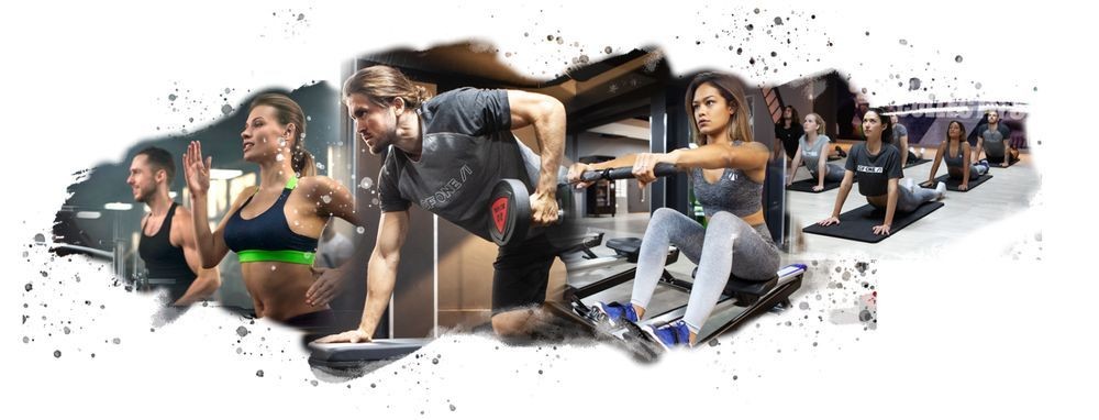 Franchise Gigafit Dans Franchise Sport Fitness