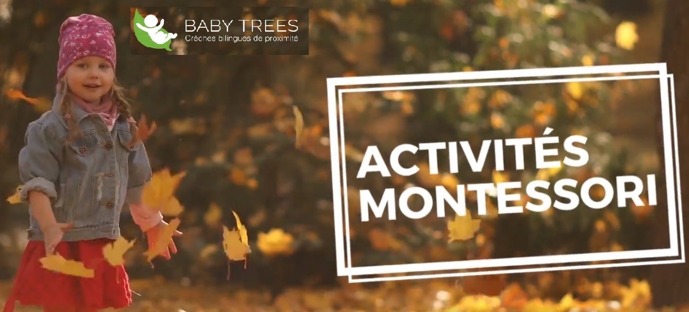 activités montessori au sein des crèches bilingues baby trees