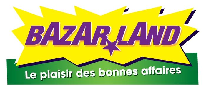 Franchise Bazarland Toul