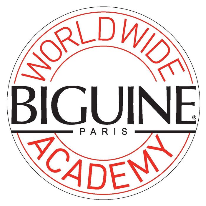 Franchise Biguine affiliation Biguine Worldwide Academy