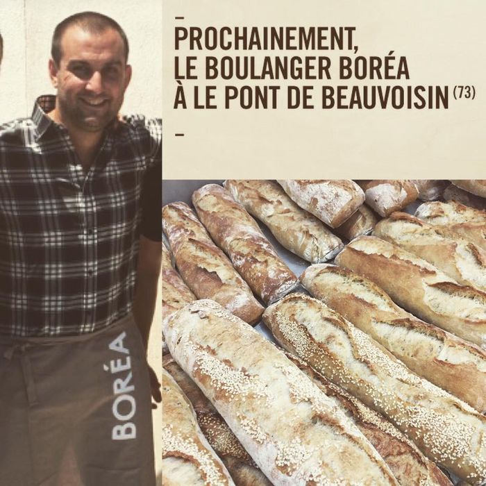 Franchise BOREA Le Pont de Beauvoisin