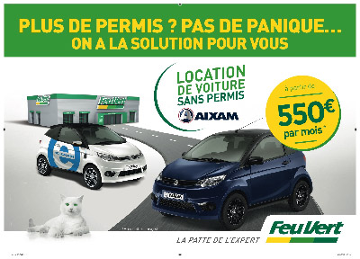 Service location de voitures électriques sans permis de la franchise Feu Vert