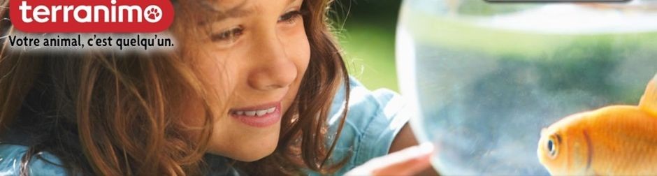 petite fille qui observe son poisson rouge