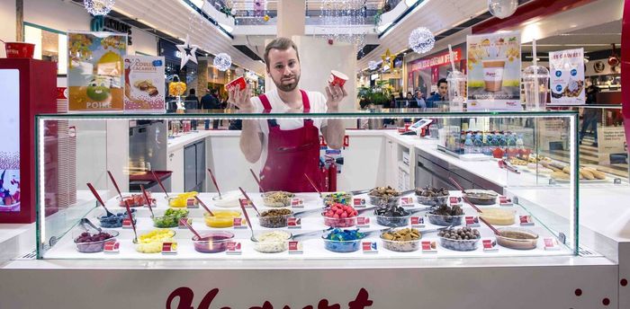 Frozen shop yogurt factory