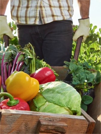 Des produits frais issus de l'agriculture française