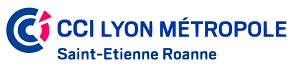 Logo CCI Lyon Métropole