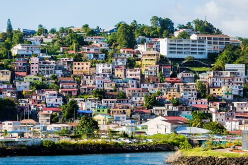 les opportunités en franchise à la Martinique