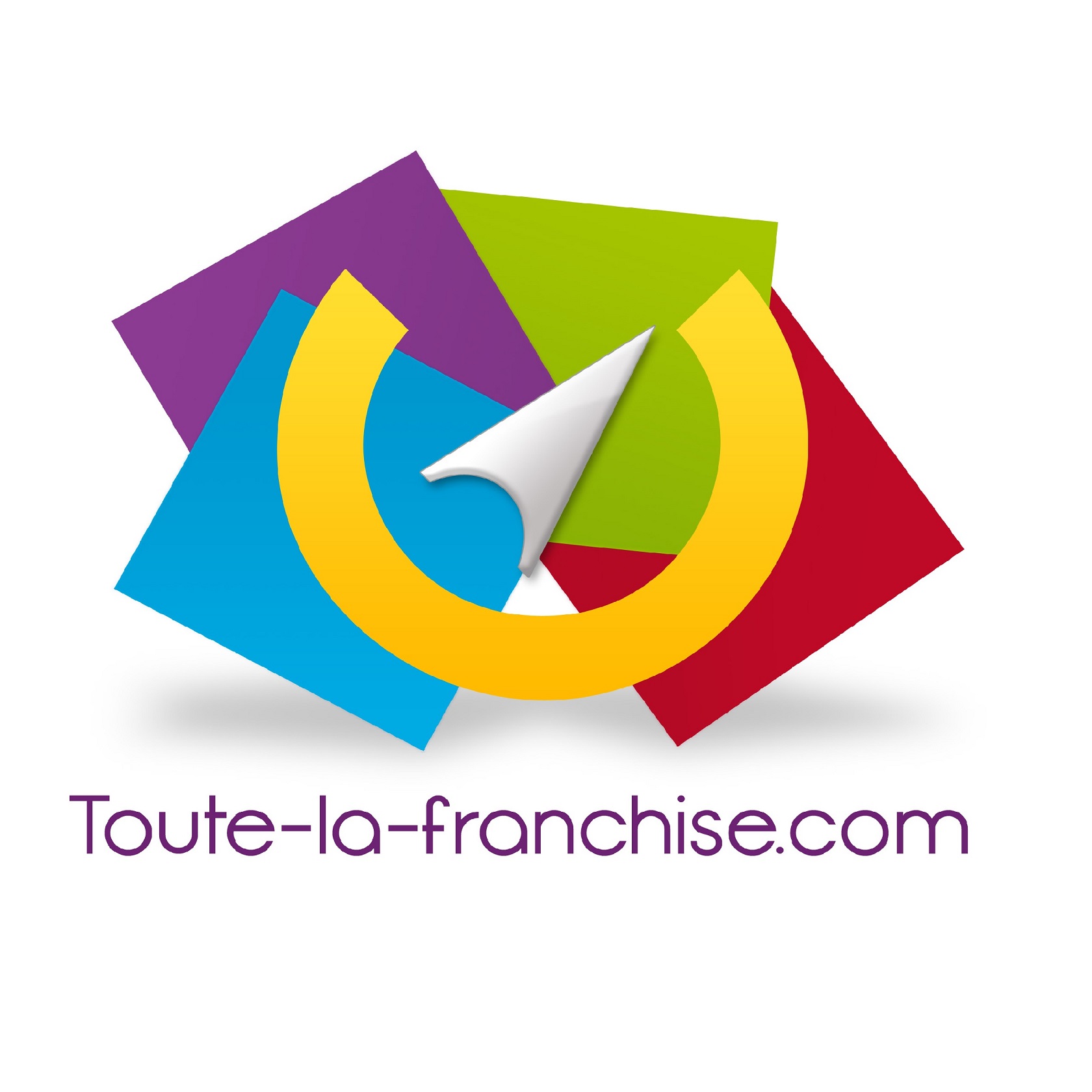 Logo Toute la Franchise