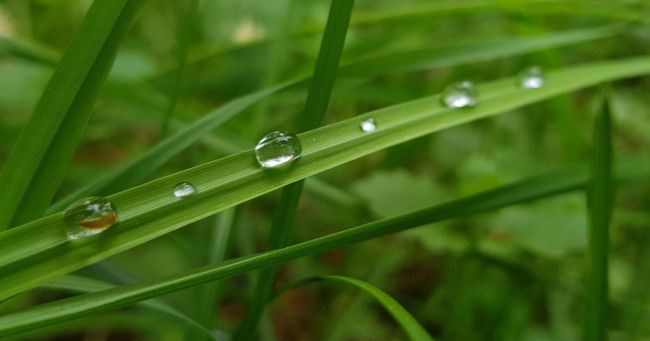 Bio Pool Tech souhaite changer le monde