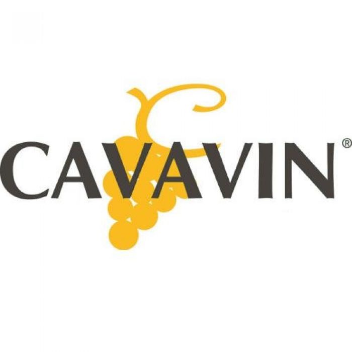 Cavavin augmente le nombre de ses réunions d’information pour compenser le report du salon Franchise Expo Paris