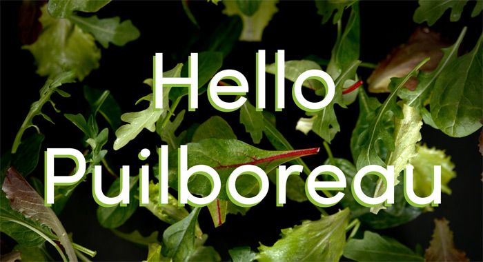 Eat Salad ouvre un nouveau salad bar en Charente Maritime