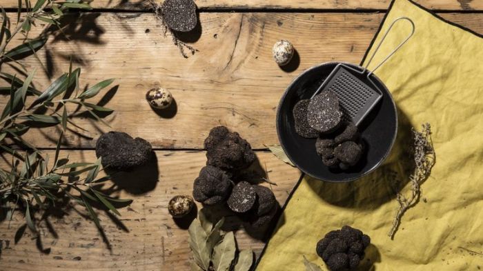 Vendre des truffes et des produits truffés avec Maison Balme