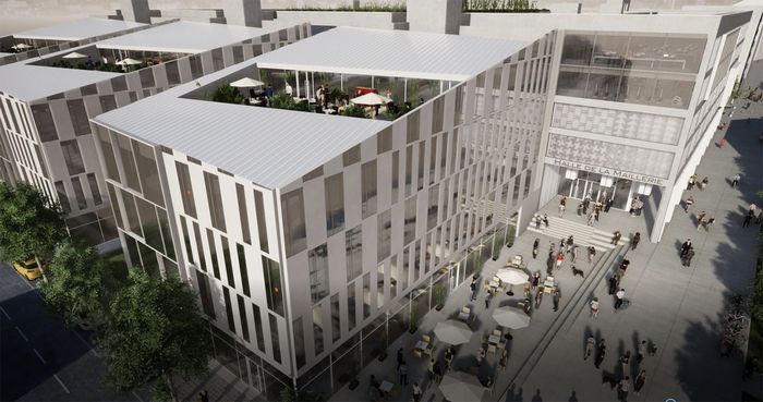 Avis aux passionnés de la truffe : La Maison Balme recherche son futur franchisé Lillois