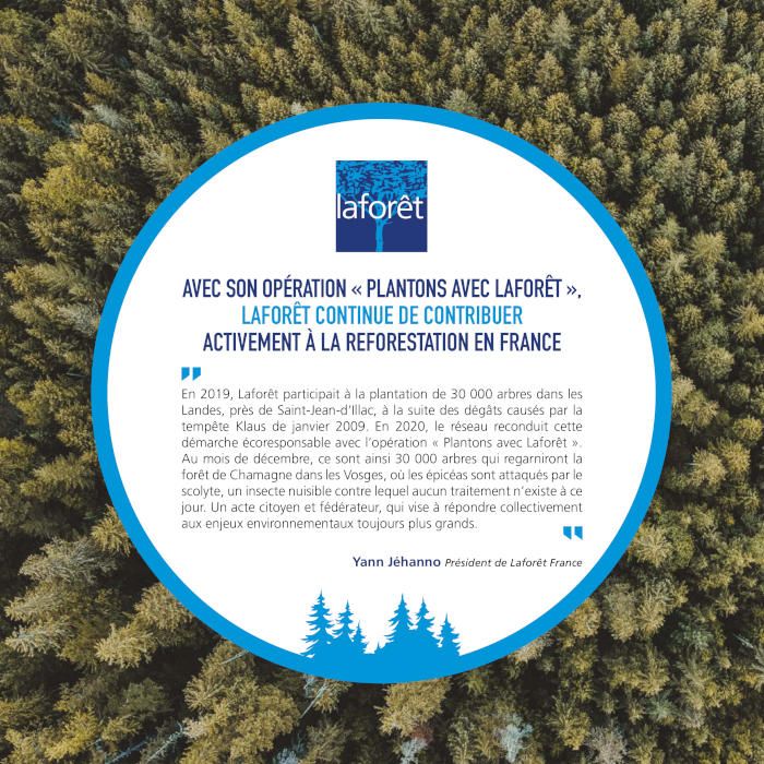 Laforêt immobilier contribue à la reforestation en France