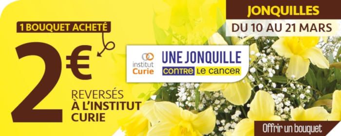 Carrément Fleurs soutient l’opération Une Jonquille contre le cancer