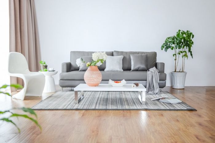 Domicile Clean : Ouverture d’une agence sur le secteur de Chambéry