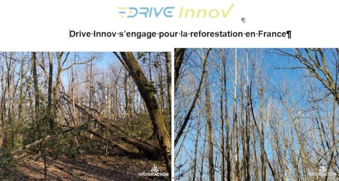 Drive Innov s’engage pour la reforestation en France