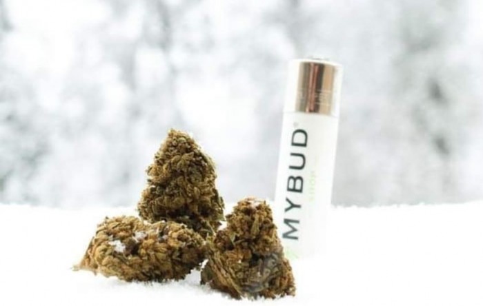 « Une dose d’envie et de sérieux suffisent pour réussir ! », Sylvain L’Ognonec (franchisé Mybud Shop Poitiers)