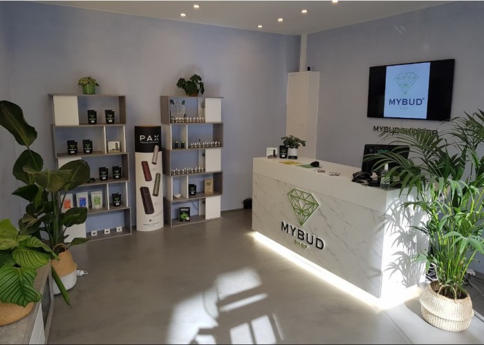 Mybud accompagne et forme tous ses franchisés !
