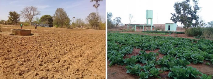 Irrijardin donne un nouveau souffle à son projet humanitaire Irrisahel