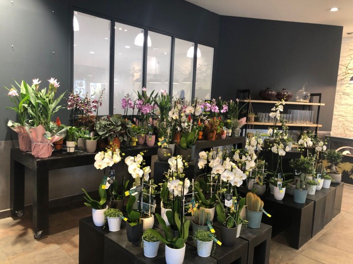 Le Jardin des Fleurs : Un quatrième point de vente à Lorient pour les franchisés de Saint-Malo