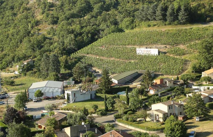 Cavavin : un réseau à fortes valeurs indépendantes et familiales