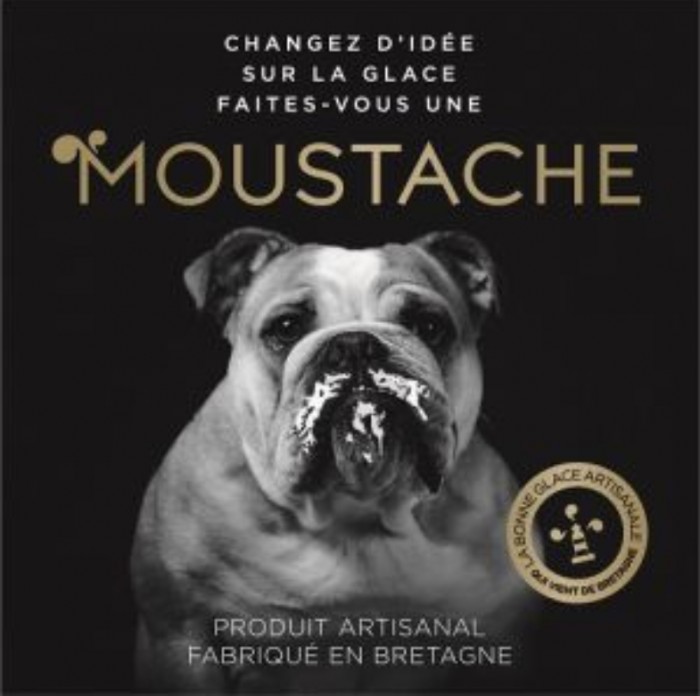 Moustache Glaces : Découvrez les nouveautés de la saison 2023 !