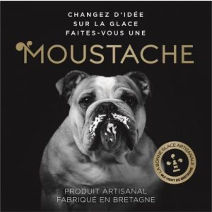 Moustache « Glacier à l’année en station balnéaire, c’est possible » (Franchise de Mimizan Plage)