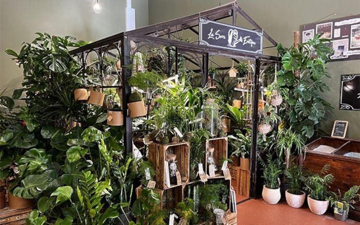 Chaque nouveau franchisé Arbres & Co reçoit un cadeau