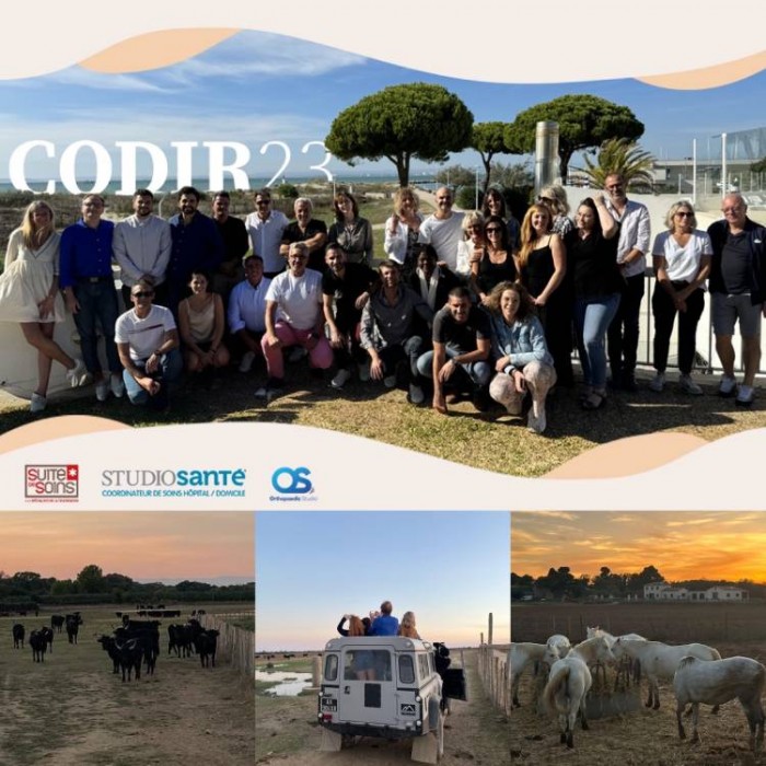STUDIOSANTE organise un CODIR 2023 sous les couleurs flamboyantes de la Camargue