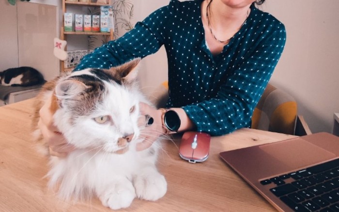 L’enseigne Au Royaume des chats accélère son développement en concession
