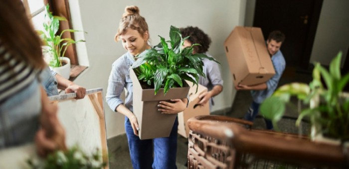 De Rent Company : Révolutionnez l'investissement locatif avec un réseau en pleine expansion (Matthieu Gilette, fondateur)